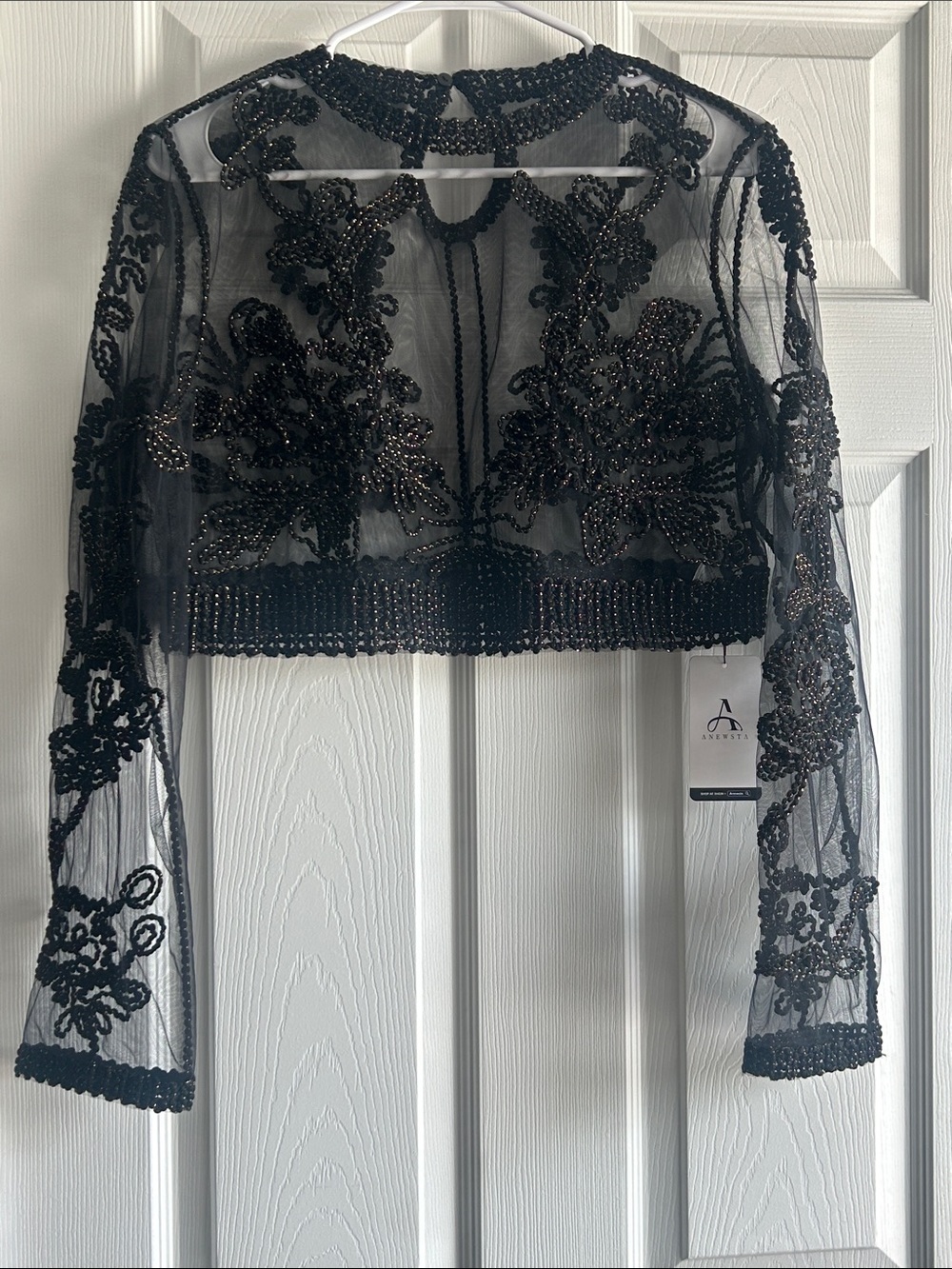 Black Sheer Long-Sleeve Crop Top